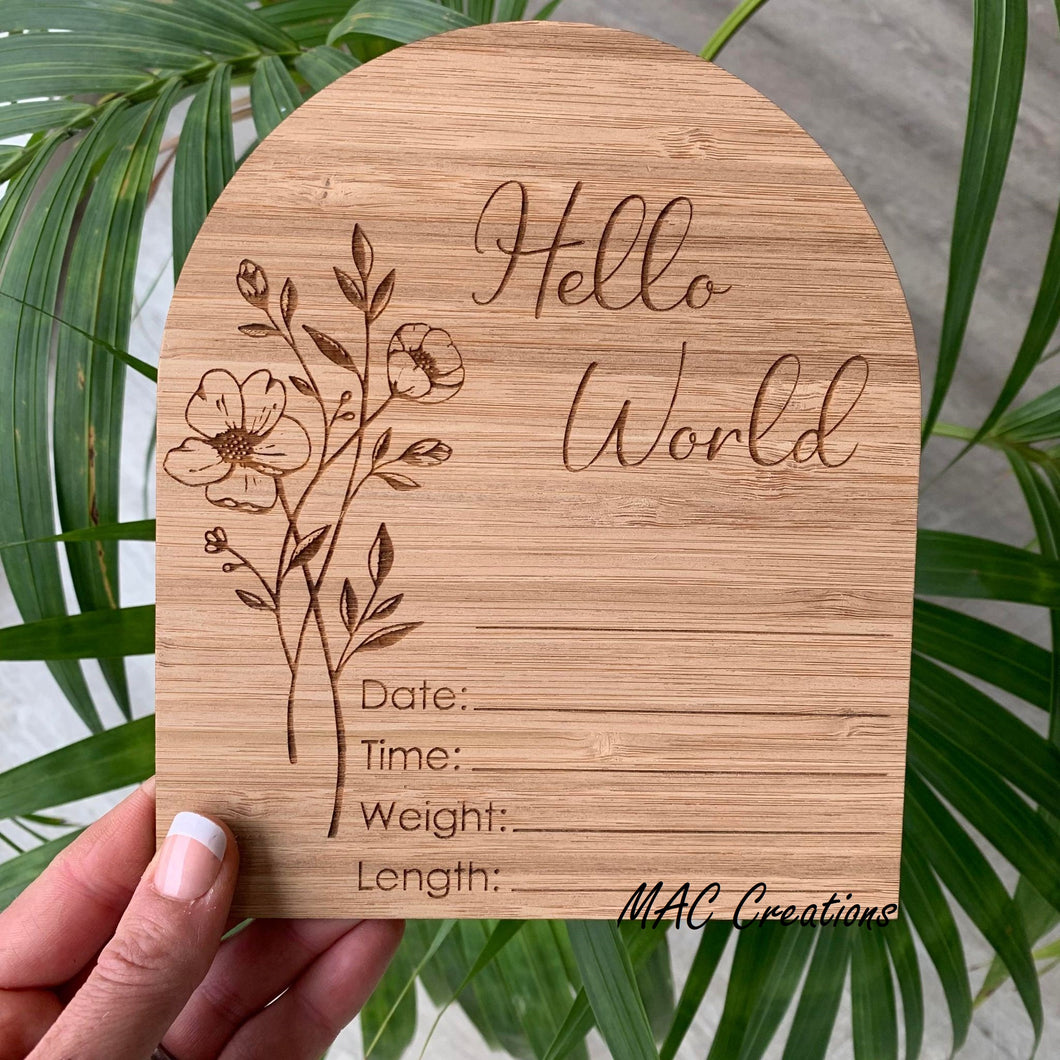 Hello World Arch Birth Announcement Plaque